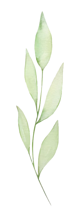middle leaf